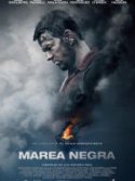 Marea negra